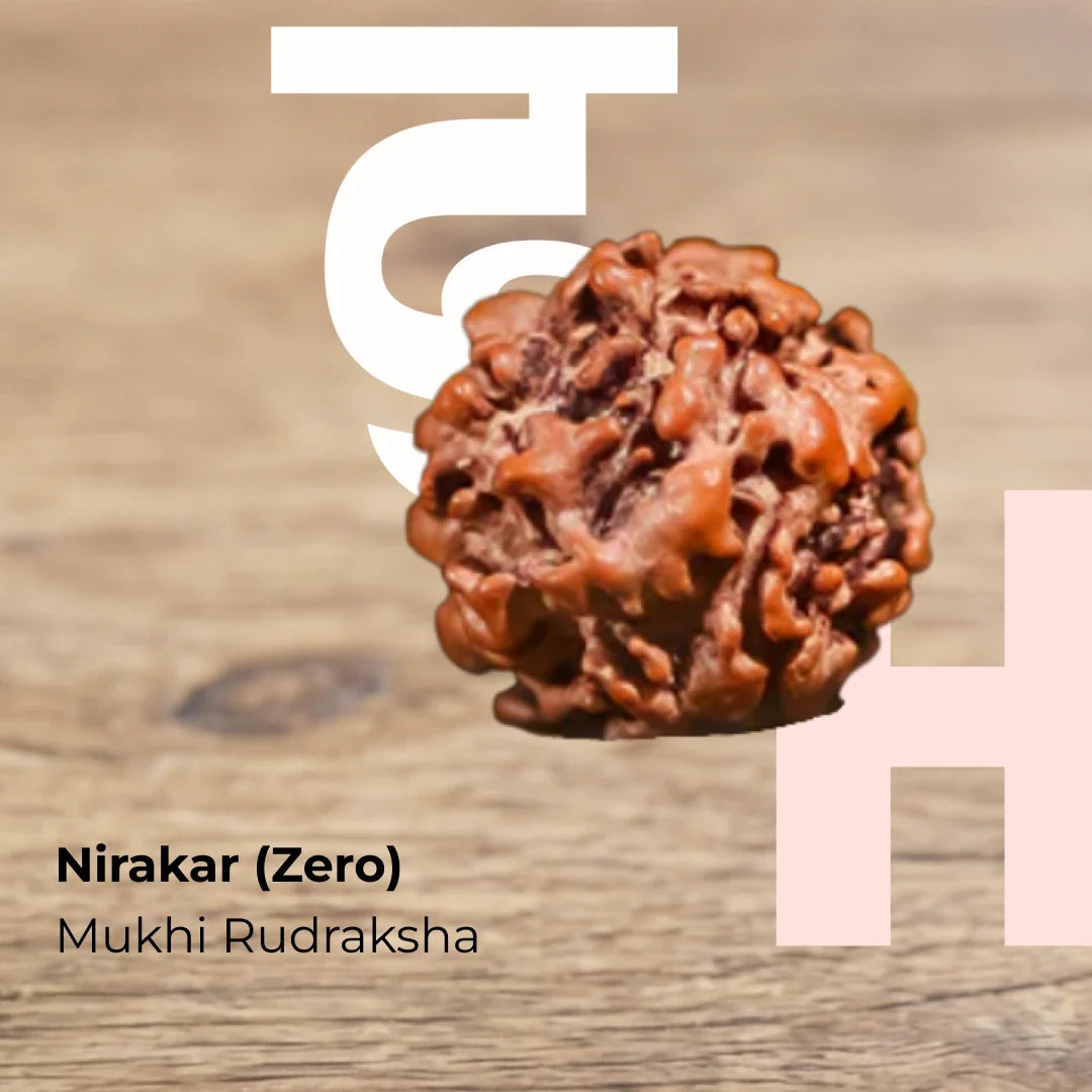 Rudraksha (Single Bead)