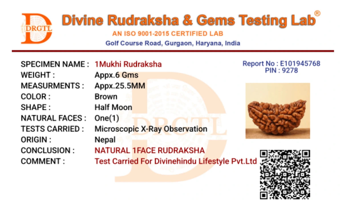 1 Mukhi Lab Certified Rudraksha - view 6