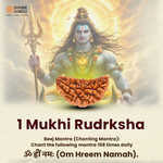 1 Mukhi Lab Certified Rudraksha - view 2
