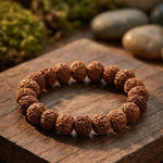 7 Mukhi Rudraksha Bracelet - view 2