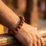 7 Mukhi Rudraksha Bracelet - view 3