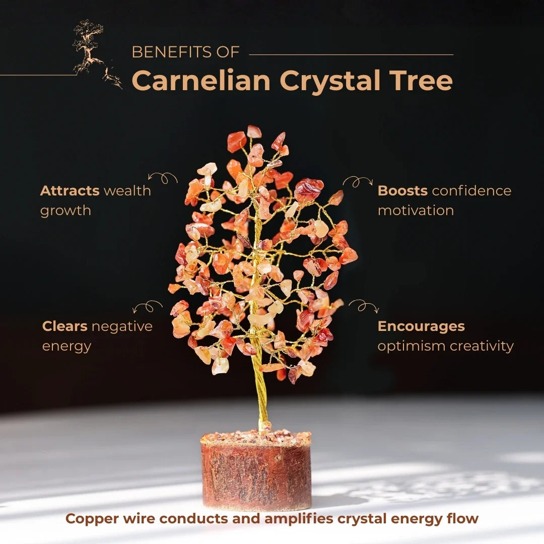 Product media