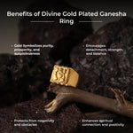 Divine Gold Plated Ganesha Ring - view 2