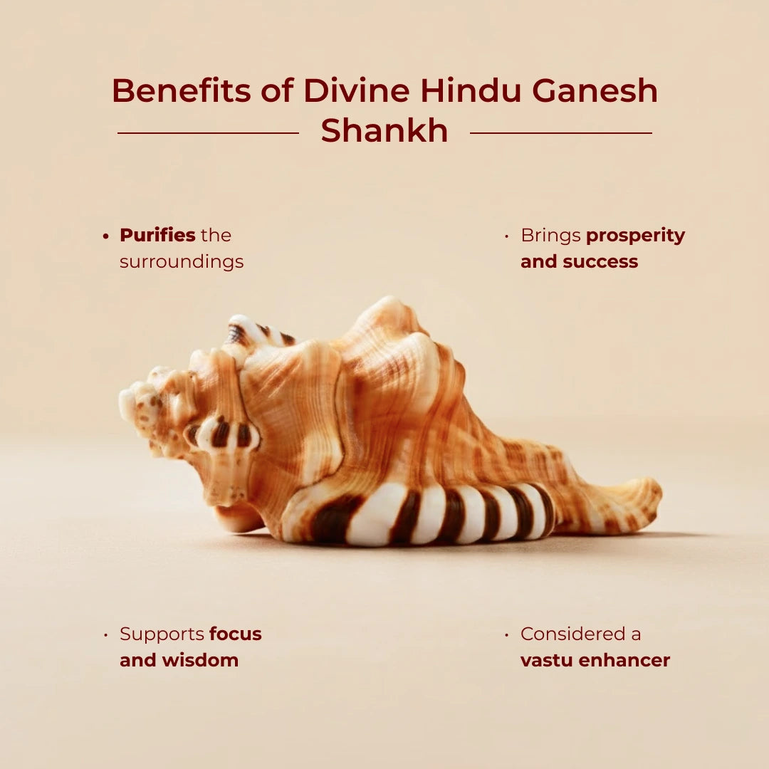 Divine Hindu Ganesh Shankh - view 3