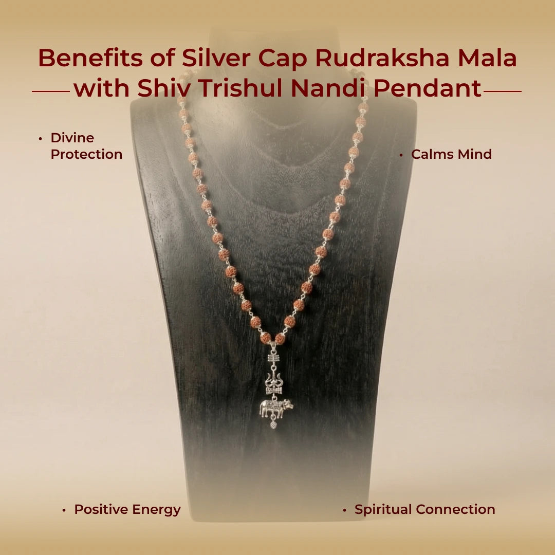 Silver Cap Rudraksha Mala with Shiv Trishul Nandi Pendant - view 4