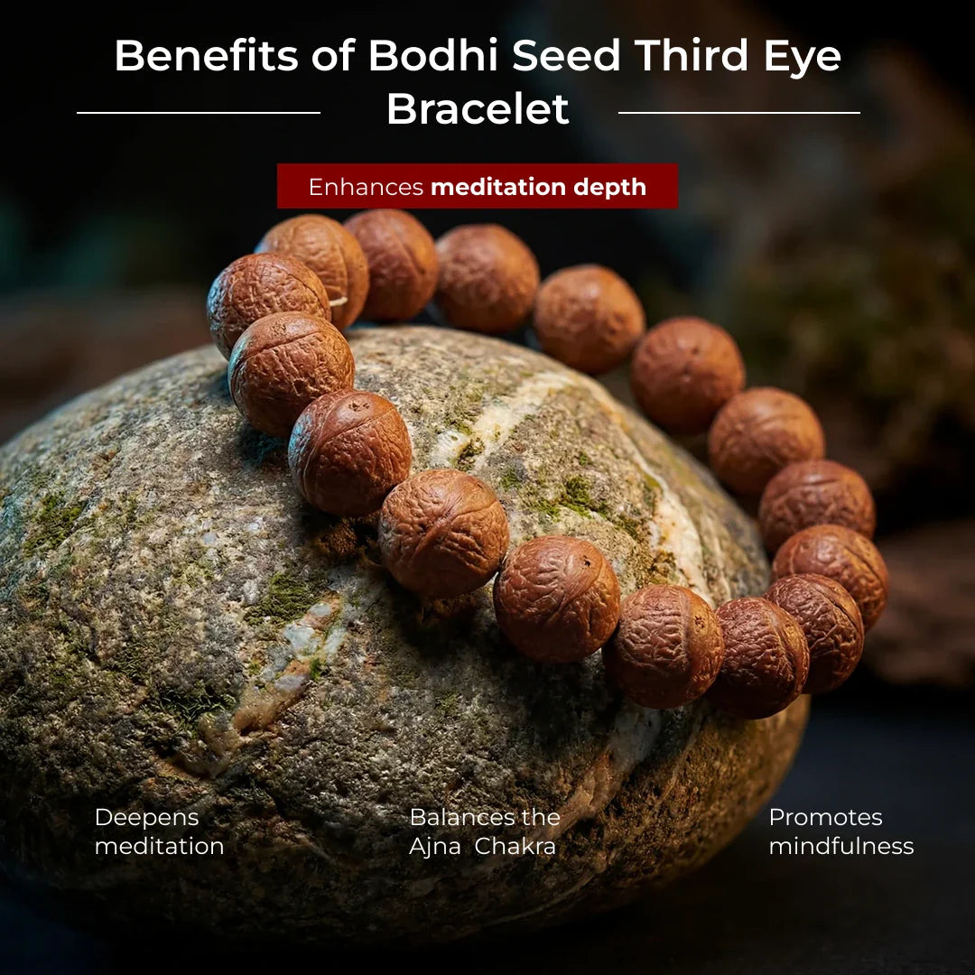 Bodhi Seed Third Eye Bracelet - view 8