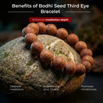 Bodhi Seed Third Eye Bracelet - view 8