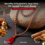 Rudraksha Jaap Mala - 108 Sacred Premium Beads - view 8