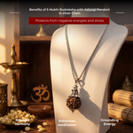 5 Mukhi Rudraksha with Adiyogi Pendant in silver Chain - view 8