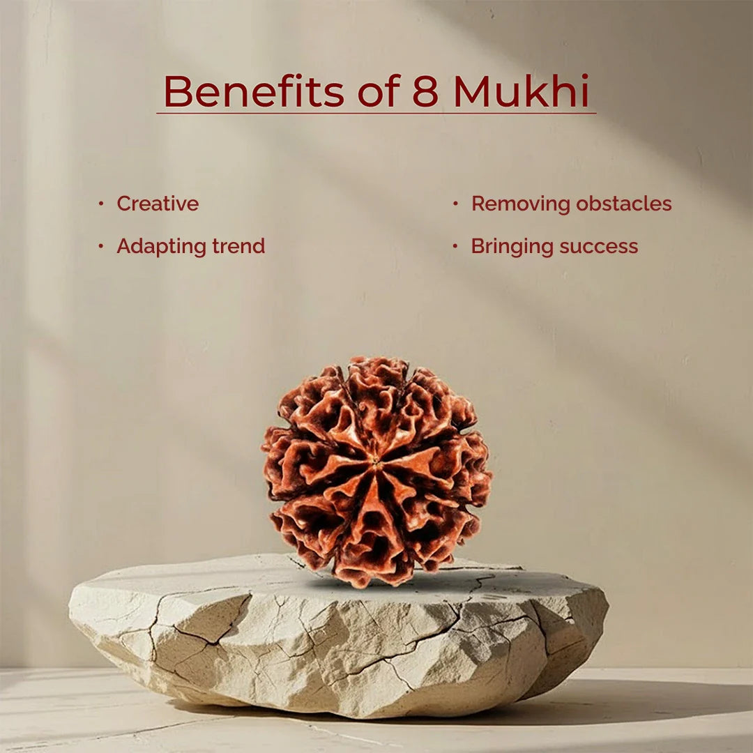 8 Mukhi Lab Tested Certified Rudraksha - view 11
