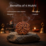 4 Mukhi Lab Tested Certified Nepali Rudraksha - view 4