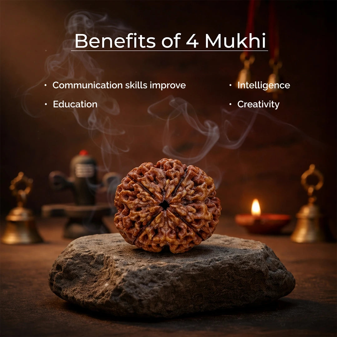 4 Mukhi Lab Tested Certified Nepali Rudraksha - view 4