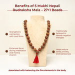 5 Mukhi Nepali Rudraksha Mala – 54+1 Beads