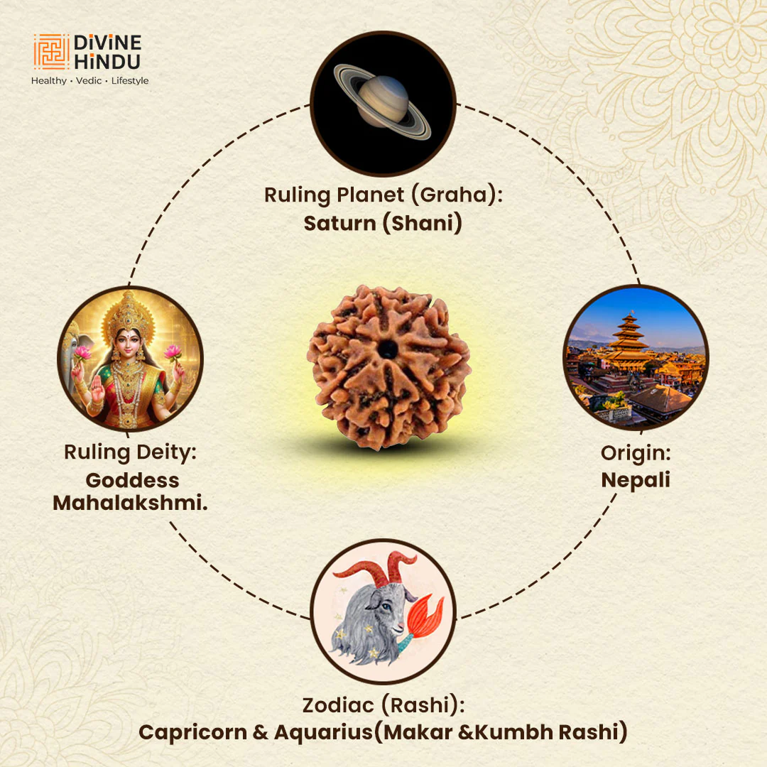 7 Mukhi Lab Tested Certified Nepali Rudraksha (18 - 20mm) - view 4