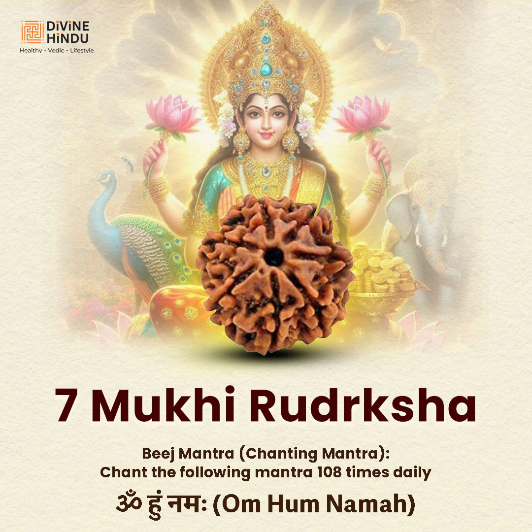 7 Mukhi Lab Tested Certified Nepali Rudraksha (18 - 20mm) - view 5