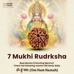 7 Mukhi Lab Tested Certified Nepali Rudraksha (18 - 20mm) - view 5