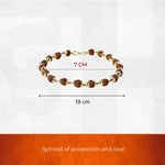Gold Cap 5 Mukhi Rudraksha Bracelet - view 3