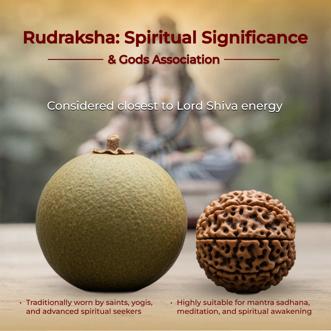 Lord Shiva Meditation Raw Pyrite Frame with OM Shiva Trishool Rudraksha Necklace for Inner Peace