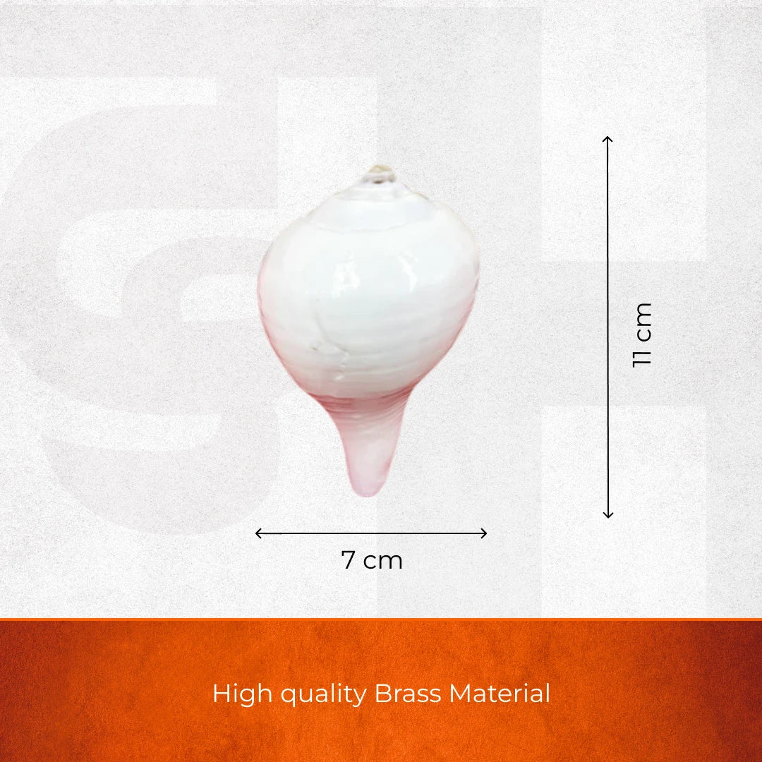 Divine Hindu Jal Shankha