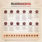 1 Mukhi Lab Certified Rudraksha - view 3