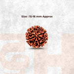 8 Mukhi Lab Tested Certified Rudraksha - view 7
