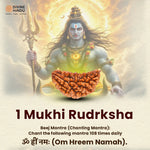 Shiv Shakti Kavach - view 2