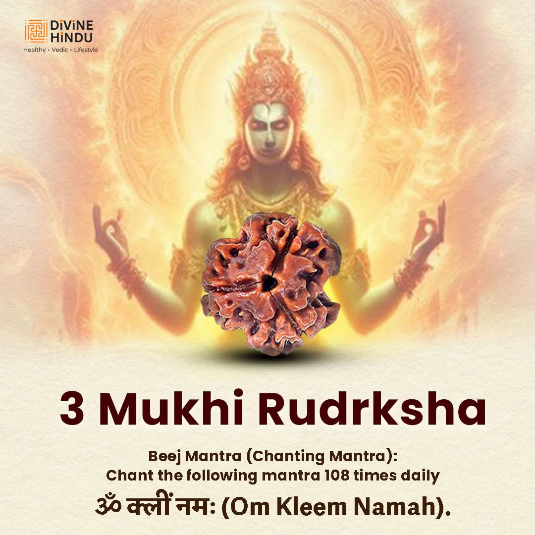 Dhanwantari Kavach (Health Kavach) - view 3