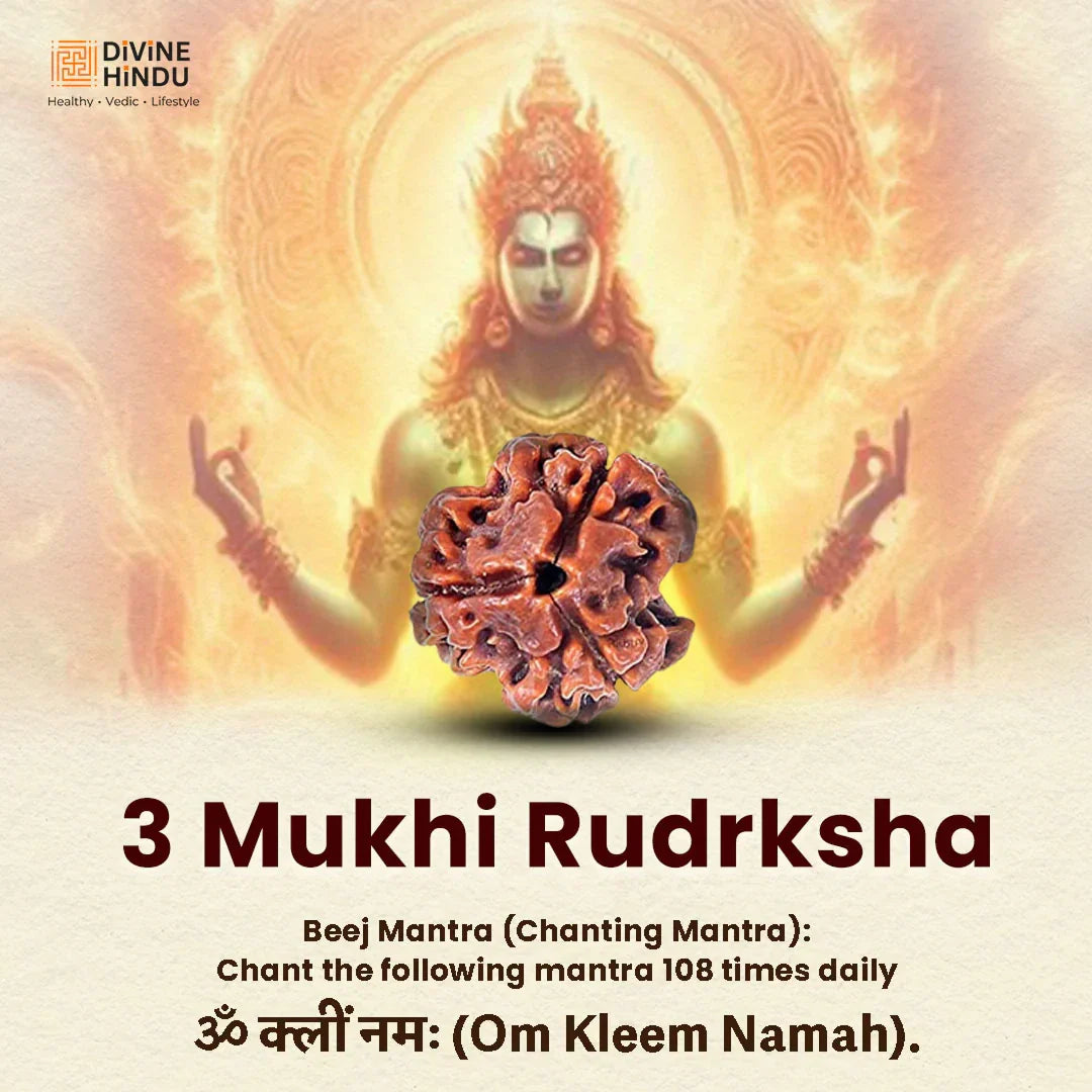 Dhanwantari Kavach (Health Kavach) - view 10