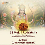 13 Mukhi Lab Tested Certified Rudraksha - view 11