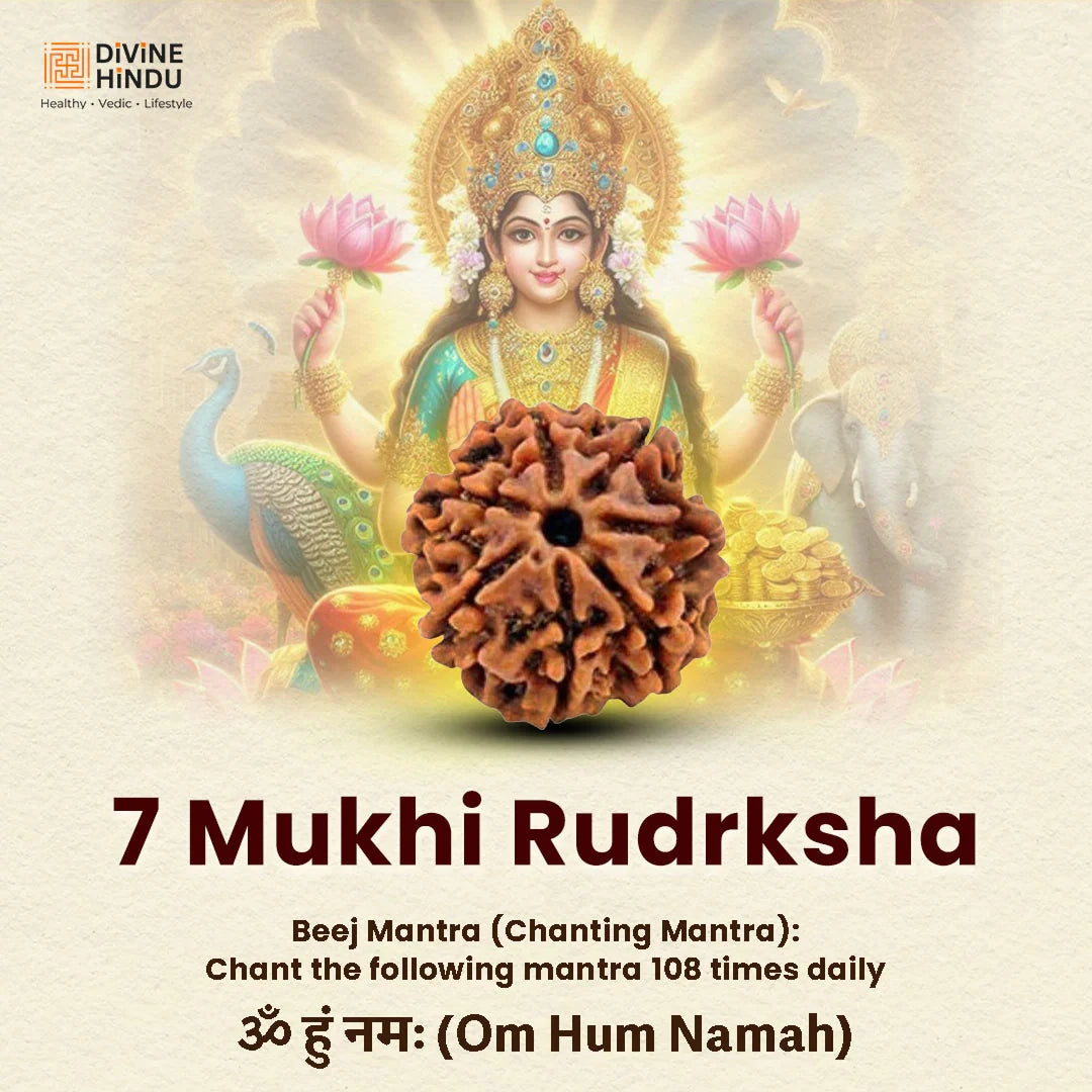 7 Mukhi Rudraksha Bracelet