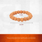 5 Mukhi Rudraksha Bracelet - view 2