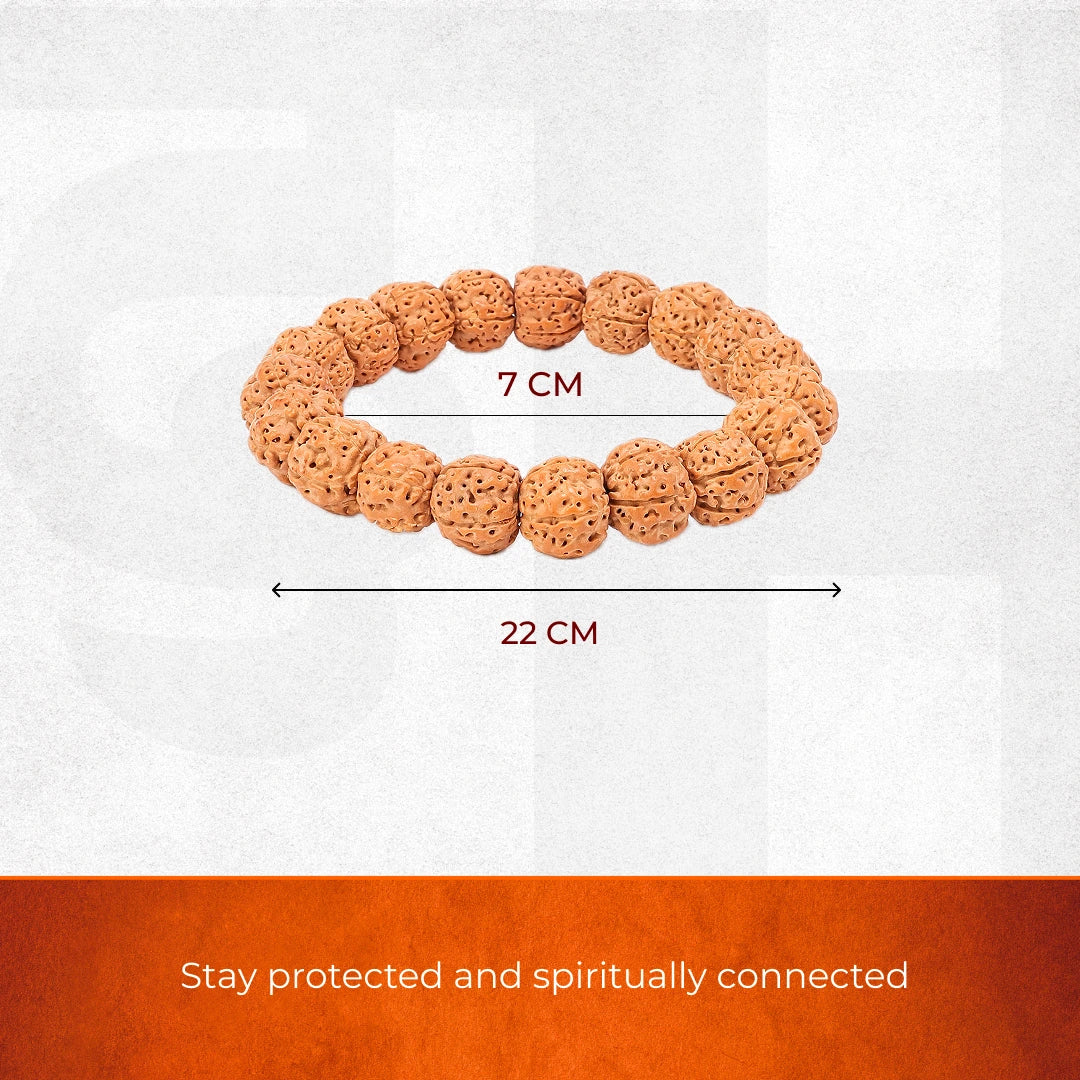 5 Mukhi Rudraksha Bracelet