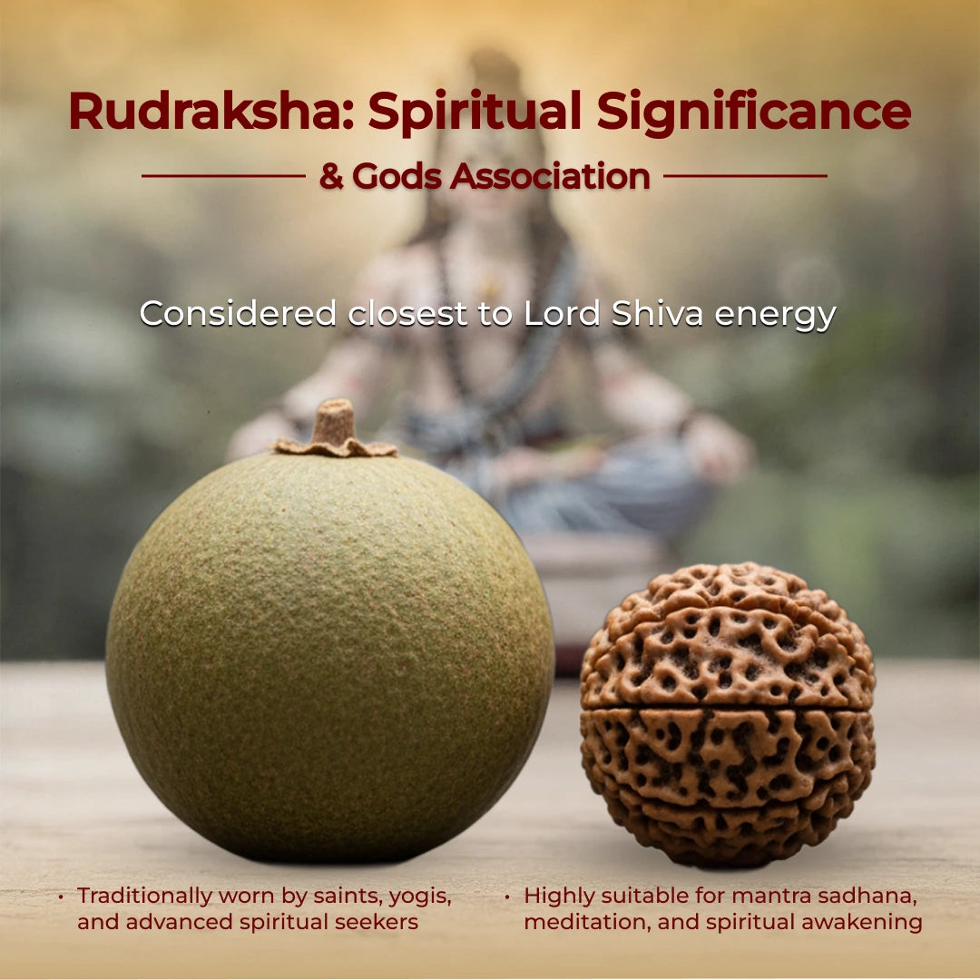Black Rudraksha Necklace with Silver Cap
