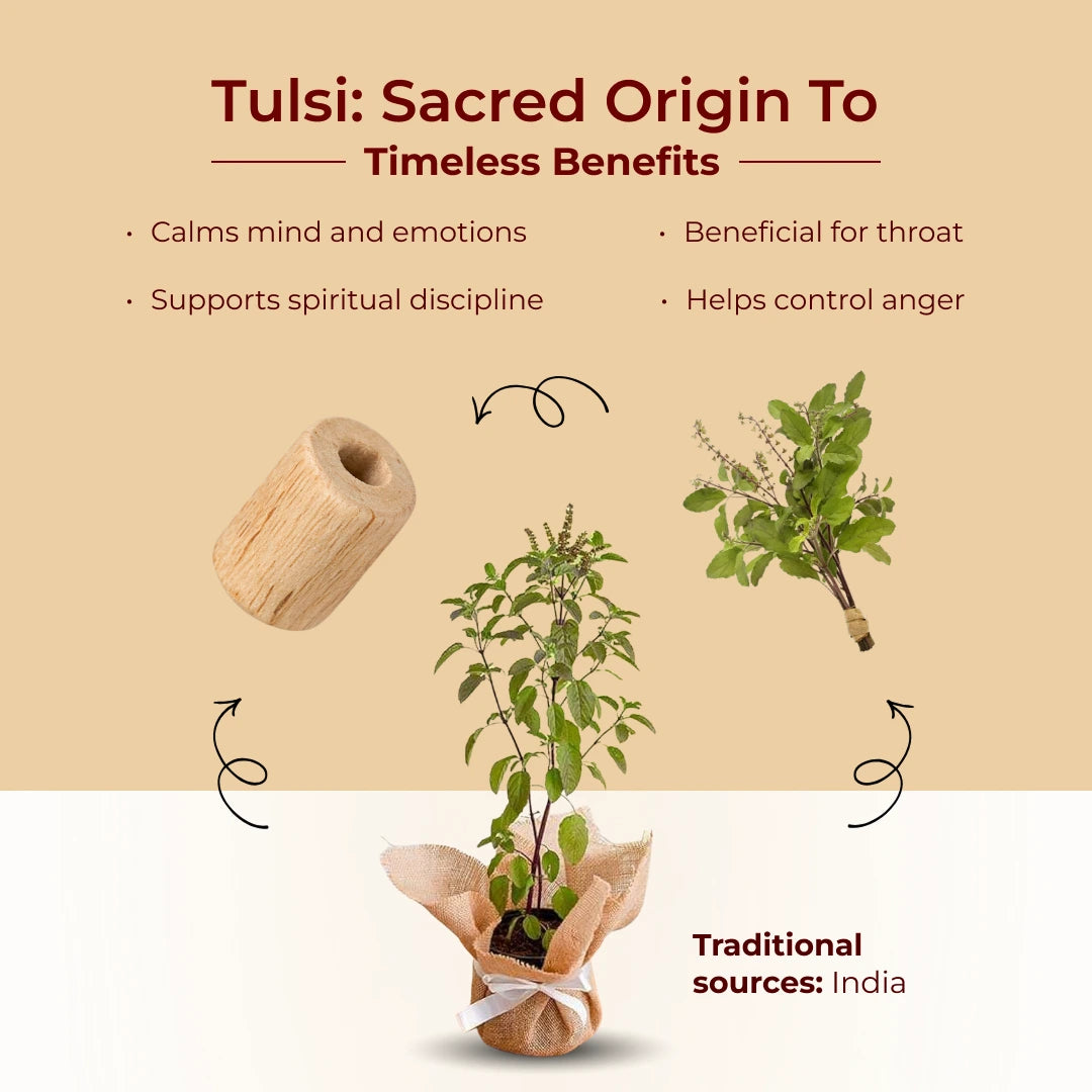 Govt Certified Bageshwar Dham Sitaram Hanumanji Tulsi Necklace