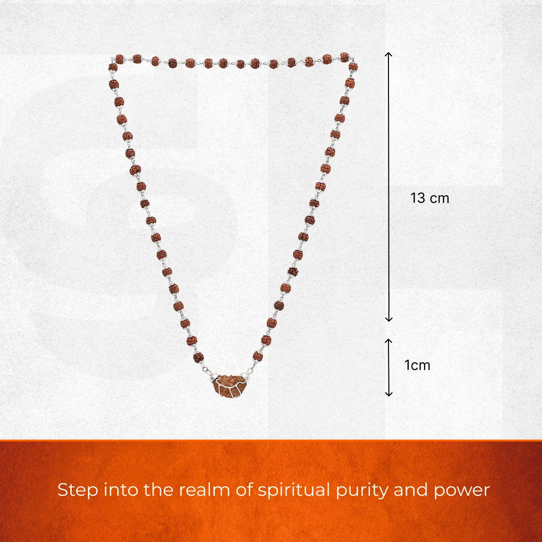 1 Mukhi Rudraksha Pendant with Silver Cap - view 2