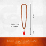 5 Mukhi Nepali Rudraksha Mala – 54+1 Beads - view 2