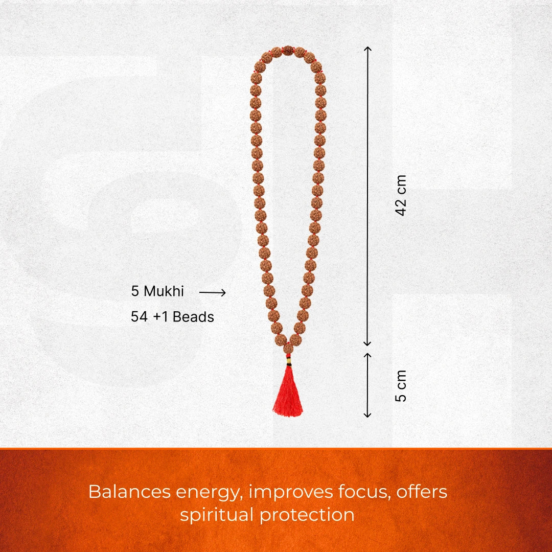 5 Mukhi Nepali Rudraksha Mala – 54+1 Beads - view 2