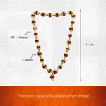 Rudraksha Mala with Golden Cap Necklace (26 + 1 Beads) - view 2