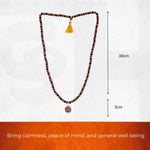 Divine Karungali & Rudraksha Mala with Sacred Mukhi Rudraksha - view 2