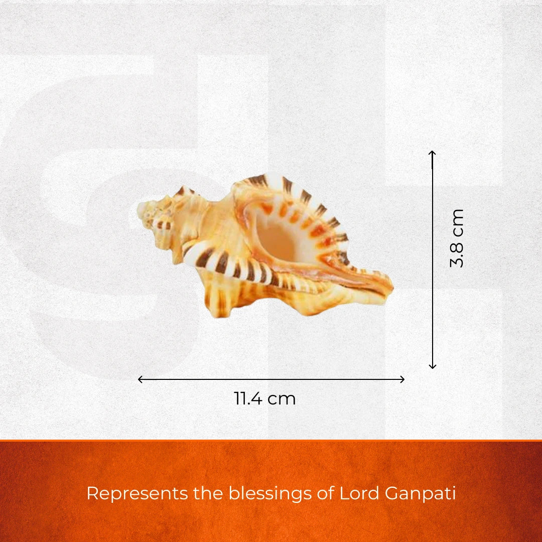 Divine Hindu Ganesh Shankh