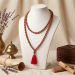 Rudraksha Jaap Mala - 108 Sacred Premium Beads - view 5