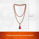 Rudraksha Jaap Mala - 108 Sacred Premium Beads - view 2