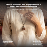 5 Mukhi Rudraksha with Adiyogi Pendant in silver Chain - view 4