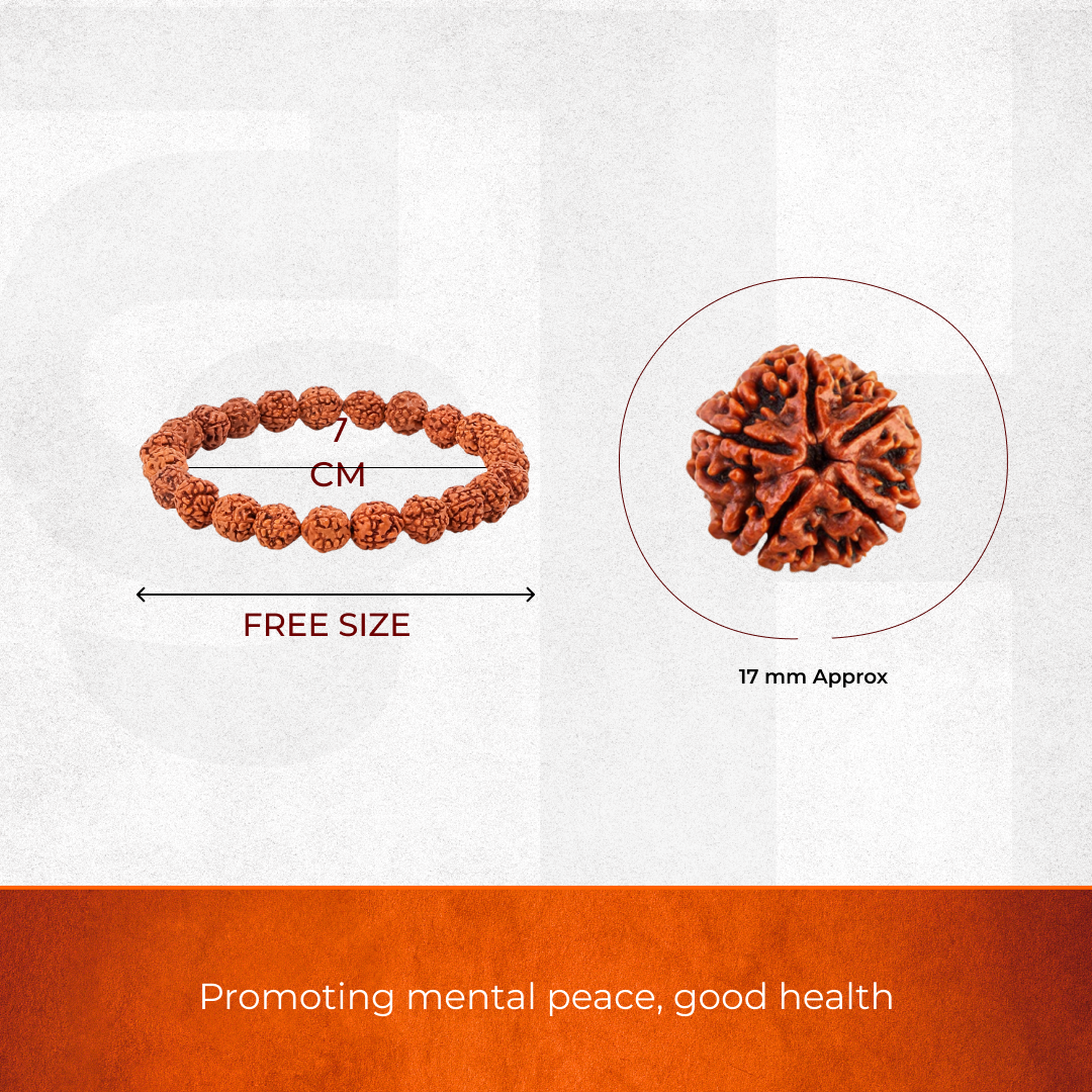5 Mukhi Rudraksha Bracelet and Bead for Peace and Balance combo - view 3
