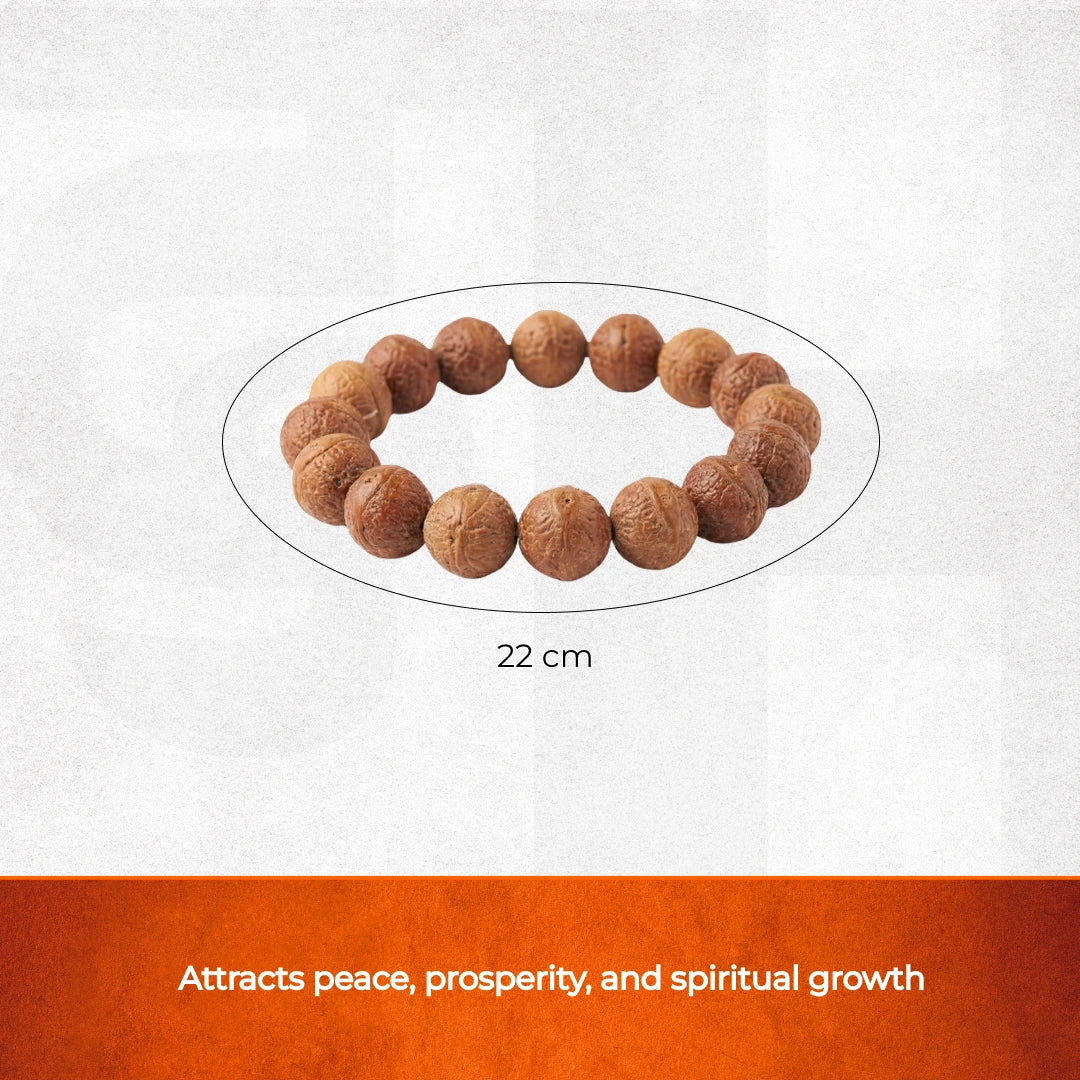 Bodhi Seed Third Eye Bracelet - view 7