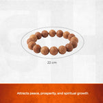 Bodhi Seed Third Eye Bracelet - view 2