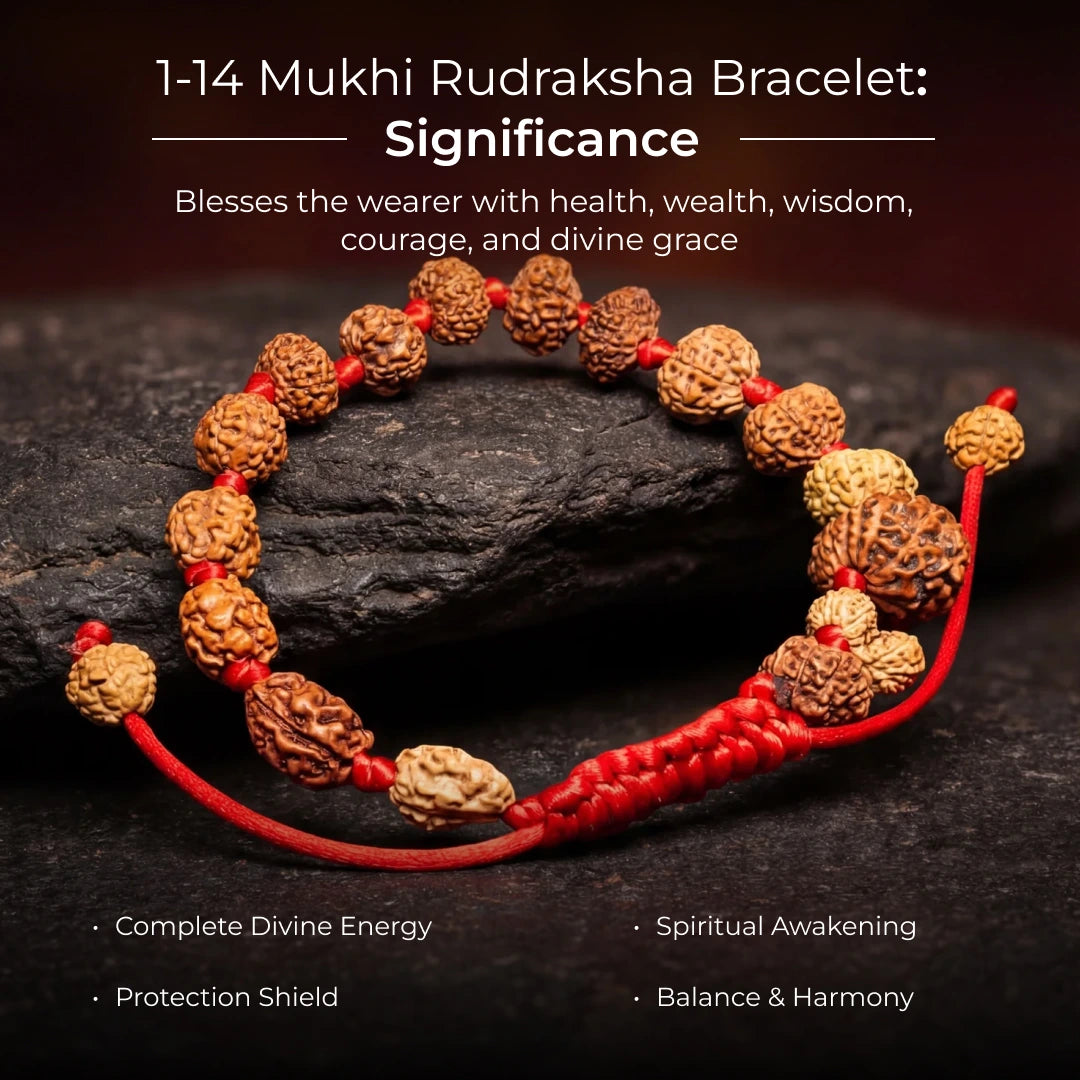 1-14 Mukhi Rudraksha Bracelet