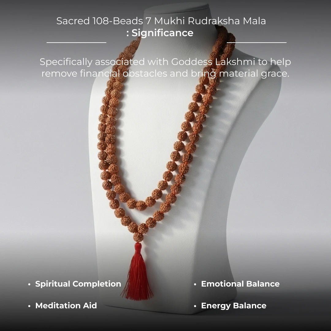 Sacred 108-Beads 7 Mukhi Rudraksha Mala - view 3