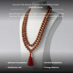 Sacred 108-Beads 7 Mukhi Rudraksha Mala - view 8