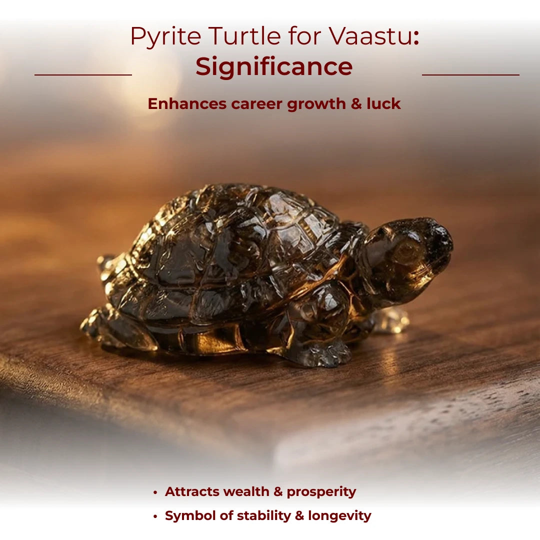 Pyrite Turtle for Vaastu